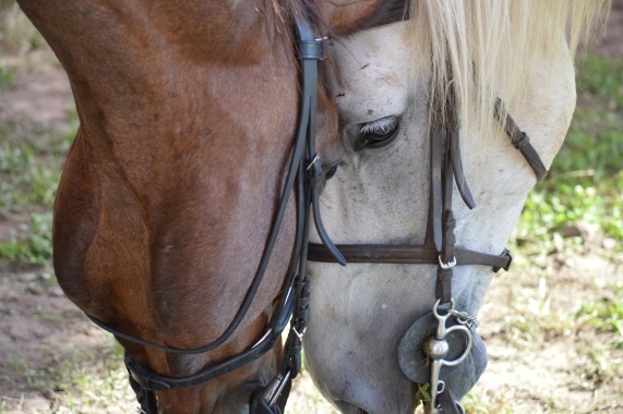 Csakrák kicsit másképp - Negyedik fejezet.