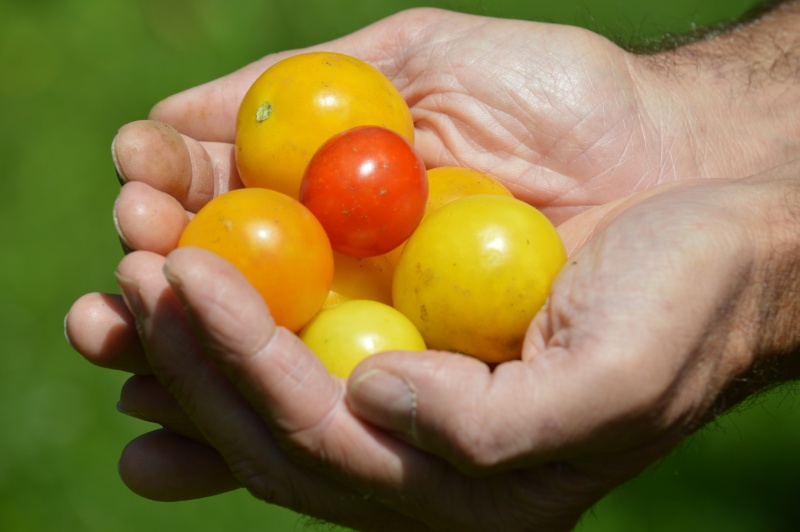 Milyen szerencsés ember vagyok!